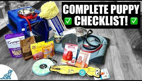 10 Things You'll Need For Your New Puppy