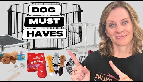 10 Things You'll Need for Your New Dog