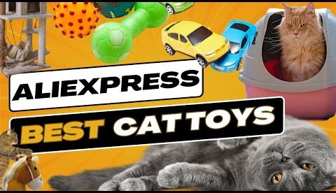 How to Find AliExpress Best Cat Toys Promo Codes & Coupons – Huge Discounts Inside! / Promo Codes